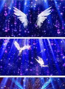 成人翅膀表演视频大全高清,成人奇幻翅膀表演集锦