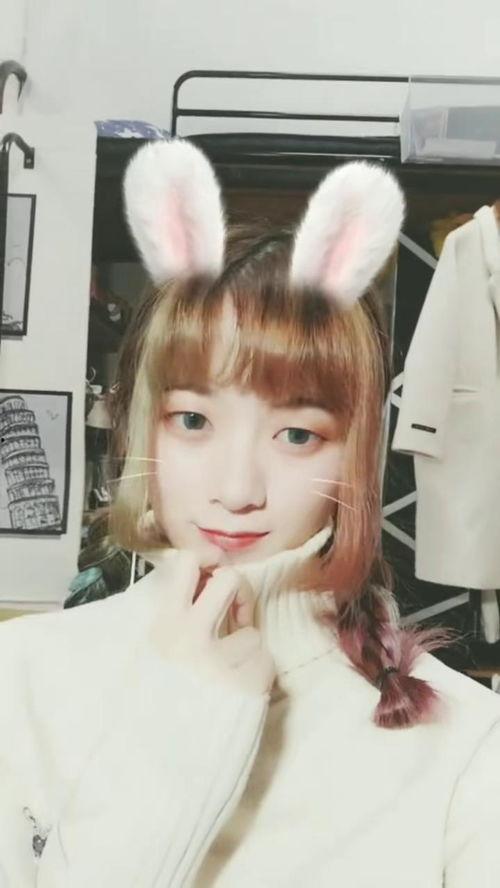 白兔变成人化妆视频,揭秘变身术背后的化妆技巧