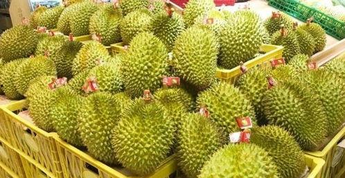 榴莲视频成人安装,轻松上手，享受精彩内容