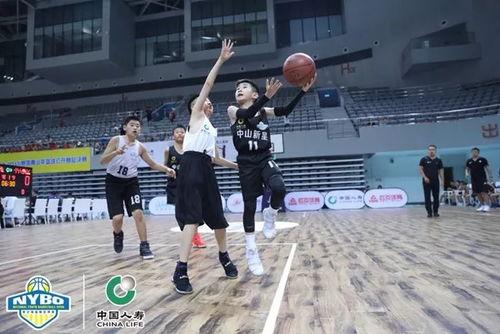 成人打小篮球视频