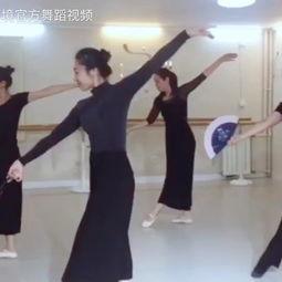 灵动的舞蹈成人舞蹈视频