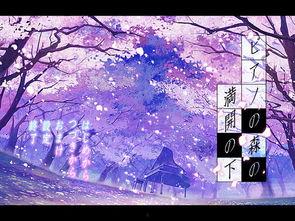 樱花动漫成人钢琴视频,成人钢琴教程中的浪漫之旅