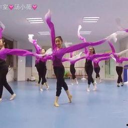 成人舞蹈散跳视频大全集,成人舞蹈散跳视频大全集精彩回顾