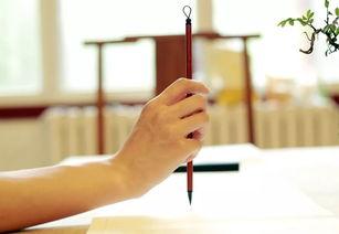 成人写字浮躁吗视频讲解,浮躁心态下成人写字的反思与调整