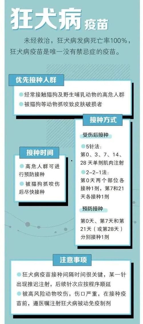 成人疫苗接种流程视频,从预约到接种全攻略