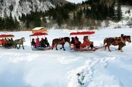 成人爬犁滑雪视频大全,成人爬犁滑雪技巧全解析