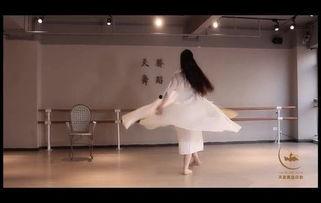 名家成人舞蹈视频教学大全,舞动人生，尽享舞蹈魅力