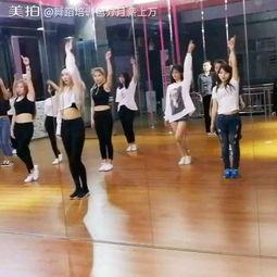 名家成人舞蹈视频教学大全,舞动人生，尽享舞蹈魅力