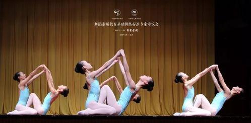 名家成人舞蹈视频教学大全,舞动人生，尽享舞蹈魅力