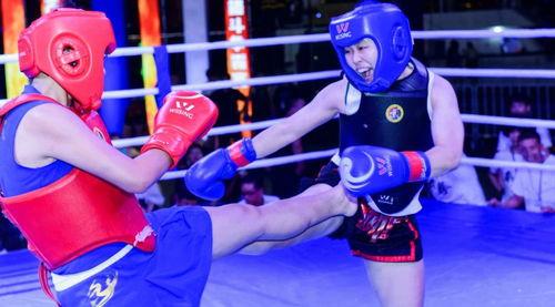 成人搏击腿法攻防视频教学,成人搏击腿法攻防技巧全解析