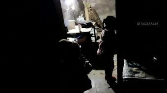 变成人的蚂蚁视频播放,奇幻生物的蜕变之旅